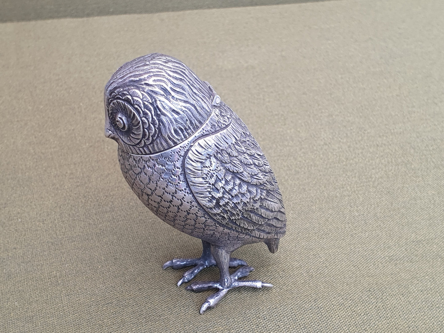 Silver Owl. Dutch