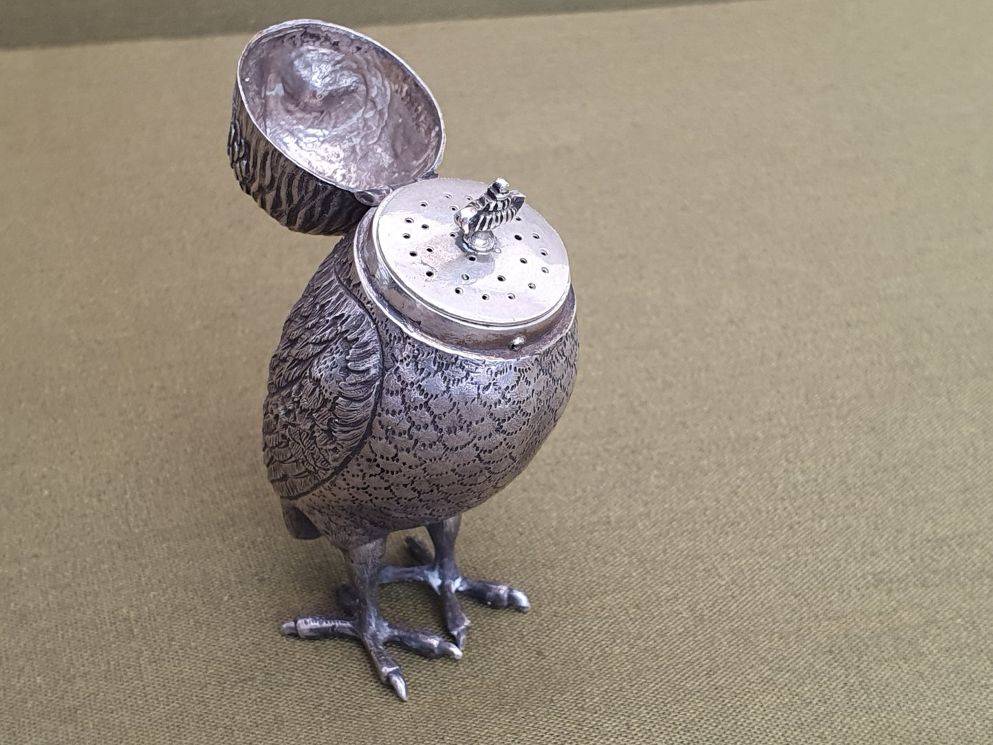 Silver Owl. Dutch
