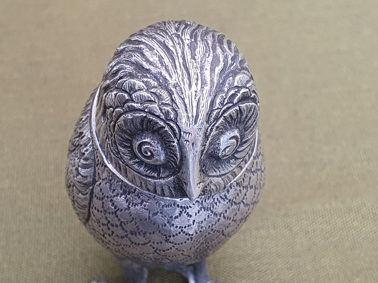 Silver Owl. Dutch