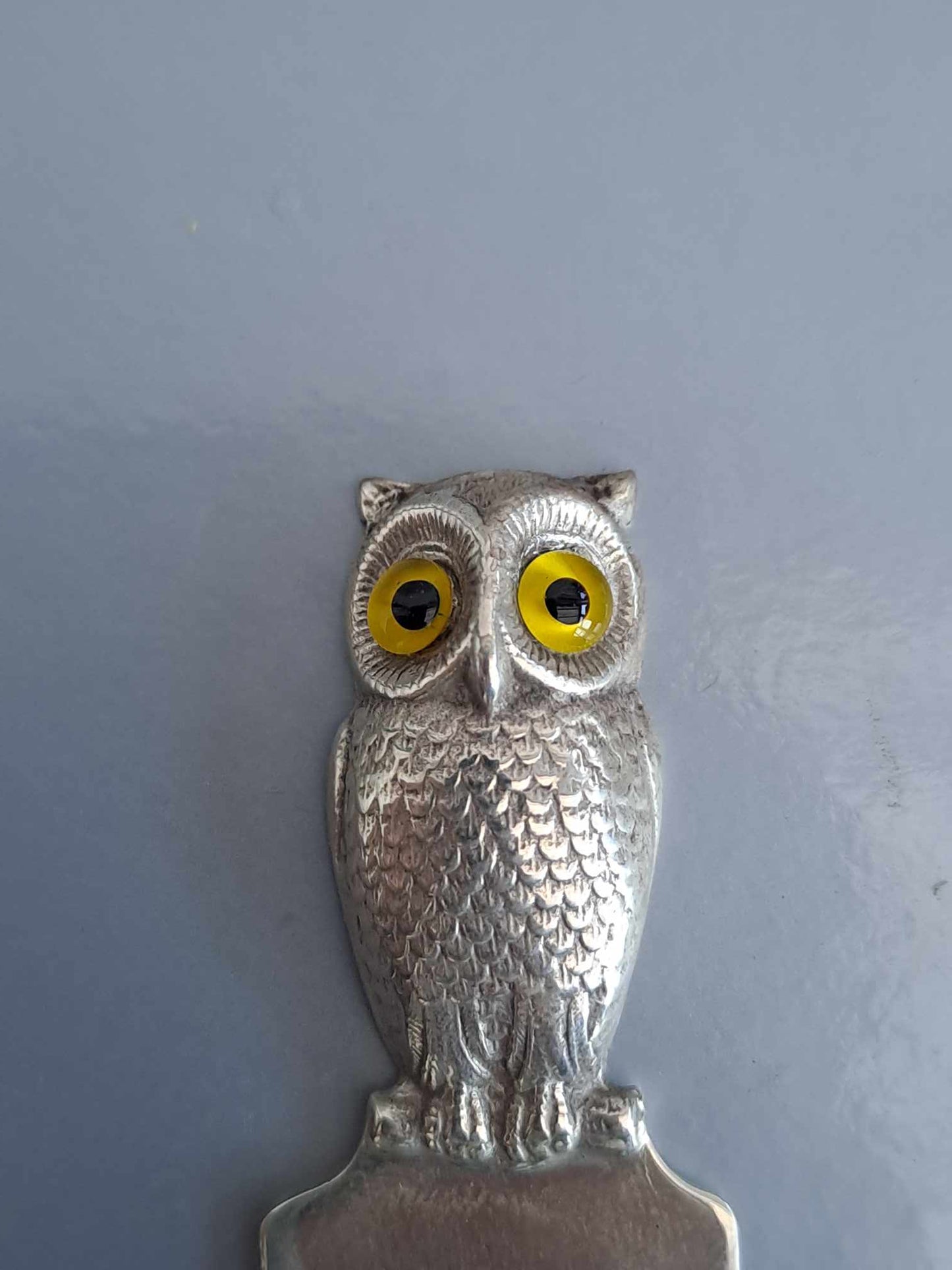 Solid Silver owl book mark.